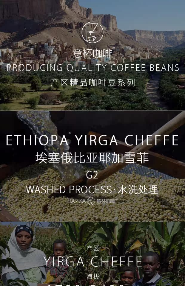意杯咖啡 埃塞俄比亚 耶加雪菲g2 水洗处理 原产地单品风味咖啡豆