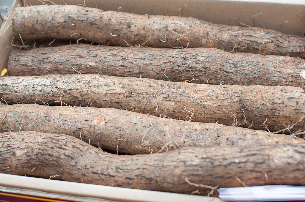 淮山海南淮山铁棍山药淮山药新鲜山药铁杆山药包邮