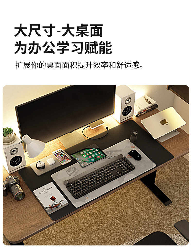 Ho Tao-Dual Electric Description Page-Home Men's Version Black House_05.jpg