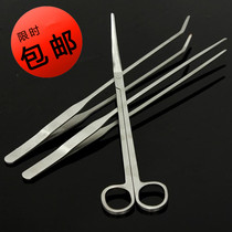 Stainless steel scissors Reptile fish feeding aquatic grass tools Scissors tweezers clips Straight scissors Curved scissors Straight tweezers Curved tweezers