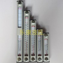 Level ye wen ji gauge oil YWZ-200T 250T 300T 350T 400T 450T 500T