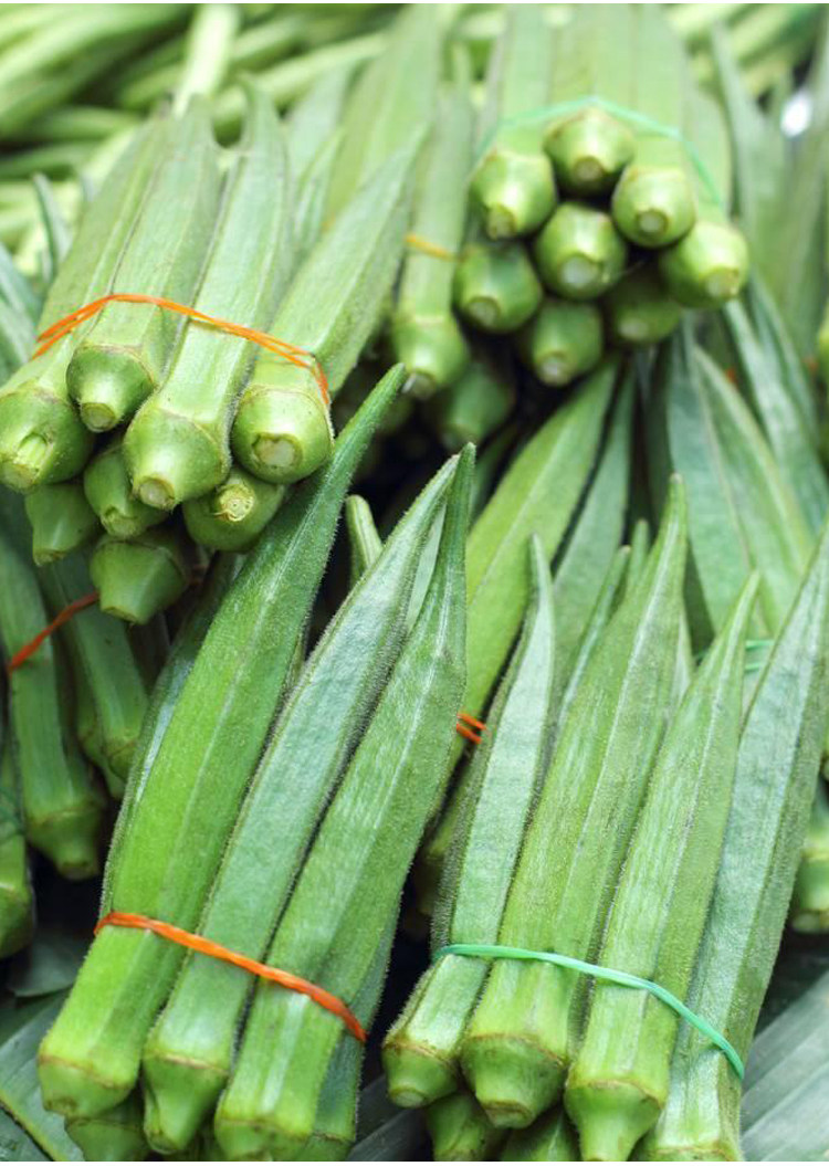 【优选黄秋葵】黄秋葵种子 羊角菜 强身健体 风味独特 滋补保健菜_7折