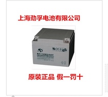 Original Taiwan set battery 12V24Ah 20HR BT-12M24AT horizontal fire Battery