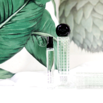 Spot Masaki Matsushima Masaki and Song series matcha neutral fresh tea sunshine bamboo forest