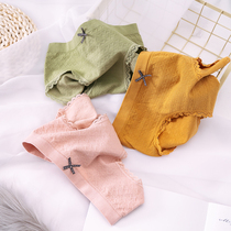 5 comfortable hip mid-rise briefs Cotton Lace incognito student panties elastic seamless