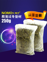 Reptile supplies sterile Moss mat Moss Moss insulation moisturizing tortoise winter crawling pet hibernation 250g
