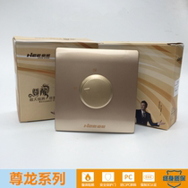 HEE how-to concealed ceiling fan speed regulator Promise variable-speed electric fan knob throttle switch 220v throttle