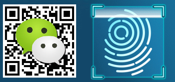 gif动图ps图片处理微信qq表情视频mg动画制作ae模板视频剪辑