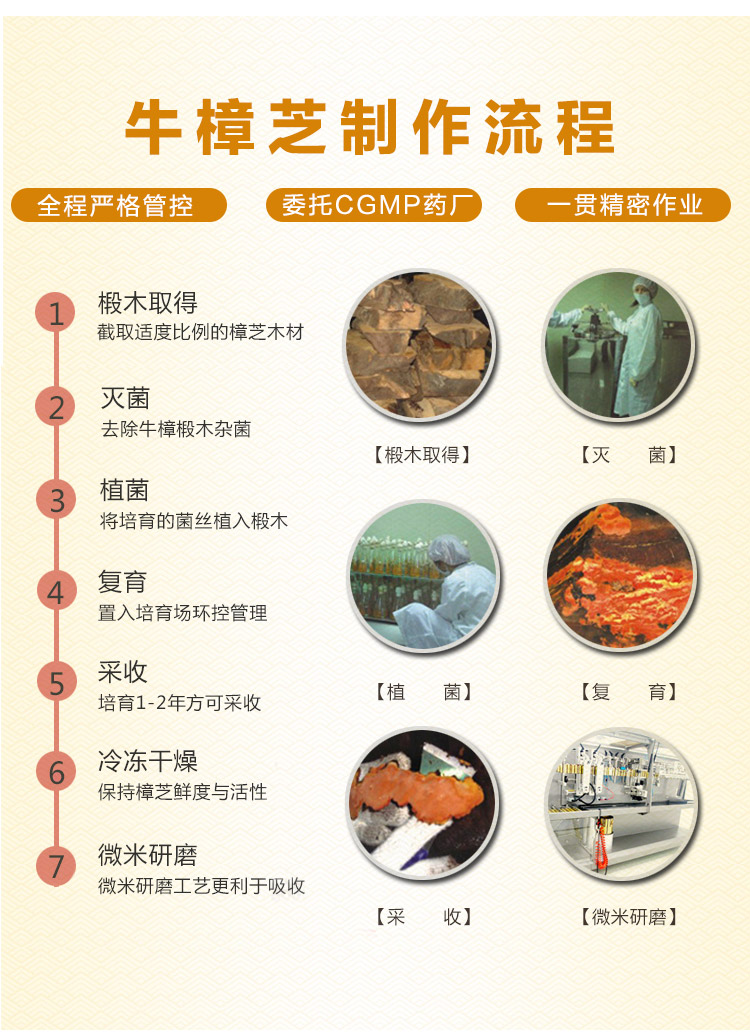 供应 牛樟芝台湾进口100粒装高浓缩台湾牛樟芝子实体胶囊牛