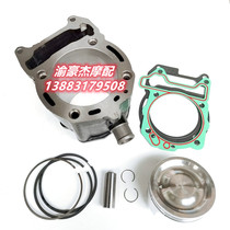 Application of the Zen Bio Apulia SR250 electric spray cylinder cylinder NEXUS300 sleeve cylinder piston ring up and down cushion