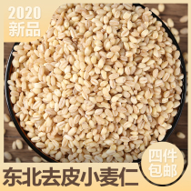 Northeast Heilongjiang peeled wheat Freshly ground wheat kernels Wheat peeled wheat kernels whole grains whole grains 1 catty to eat