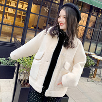 Small coat womens short imitation mink fluff coat 2020 winter new style student Nizi wild