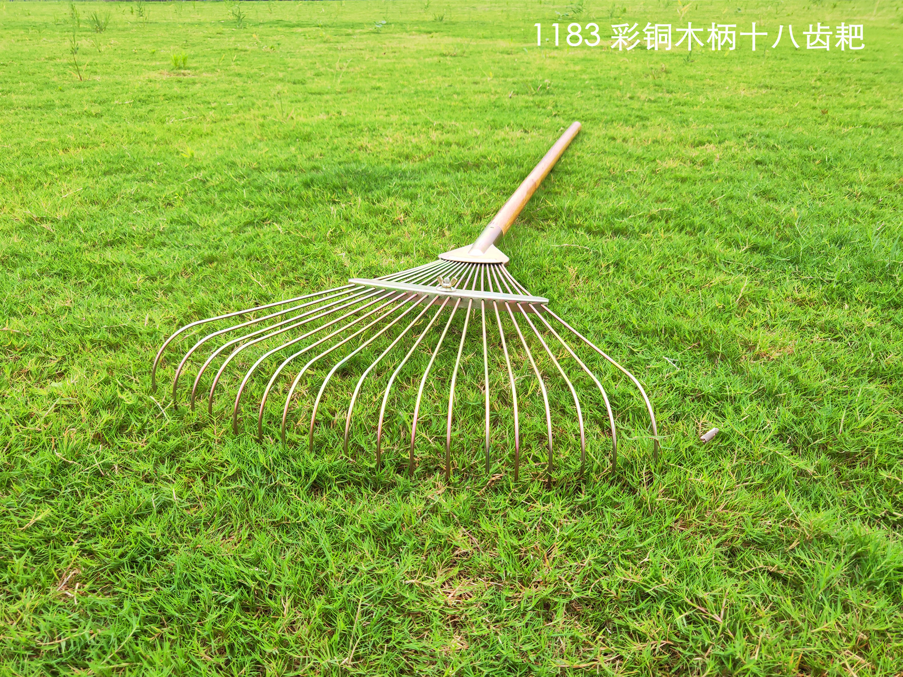 木柄弹簧钢十八齿彩铜草耙废草落叶耙子喷塑管柄扒草伸缩钉耙