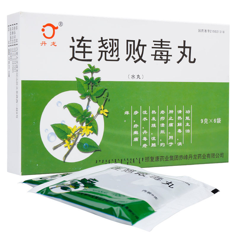 丹龙 连翘败毒丸 9g*6袋/盒