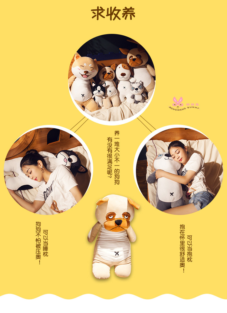 大V老贾的最后一只狗也死了