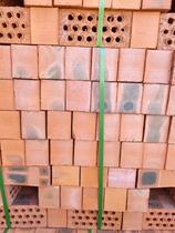 Porous Shale Brick insulation brick shale red brick porous brick brick brick factory brick factory