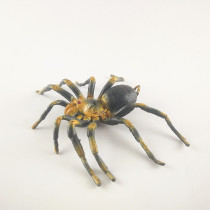 AAA bulk 3A simulation insect animal model Tarantula Tarantula poison spider Large spider