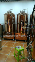 Manufacturer direct sales 300 liters 500 liters of beer fermenter Lean Beer Equipment Commercial