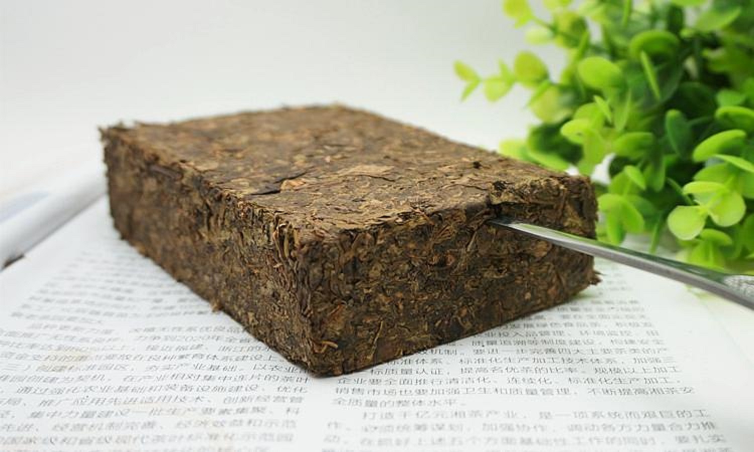 爱打扮(www.idaban.cn)，陈年老茯茶，是茶也是宝！9