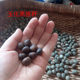 Hainan Yuanbao Xingyue Bodhi Seed 원자재 원료 원시 씨앗 하이 밀도가 높은 울음 소리 흰색 제이드 변환 스타 달 흩어져있는 구슬 무료 배송 Hainan Yuanbao Xingyue Bodhi Seed 원자재 원료 원시 씨앗 하이 밀도가 높은 울음 소리 흰색 제이드 변환 스타 달 흩어져있는 구슬 무료 배송