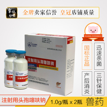 Veterinary drug Ceftiofur sodium injection 1G powder injection cefquinome liquid pig medicine cattle and sheep Special Health Veterinary medicine