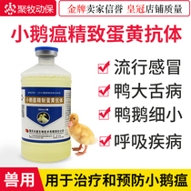 Goslings geese ducks geese ducks small three-week disease large tongue disease Yongjian goose plague refined yolk antibodies