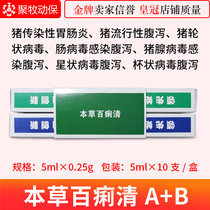Veterinary drug enrufloxacin injection acetamequine injection pig horse cattle and sheep diarrhea
