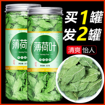 Peppermint leaf tea granules fresh edible dried and fresh mint canned to soak in water to drink cool tea making wild Special Special