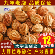 Sichuan high-quality Sichuan sand kernels fragrant sand kernels 500g Sand Ren Bo Kou Bo Kou stew braised meat Spices and spices Daquan