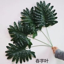 Party decoration simulation leaves Plantain leaves Palm Tree leaves Money leaves Pine Coniferous leaves Turtle leaves