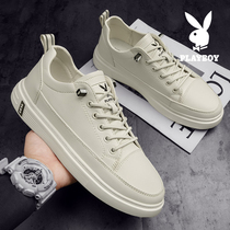 Floral Playboy small white shoes 2022 new One foot pedal Korean version Trend 100 hitchhiking shoes Summer mens casual boomer shoes