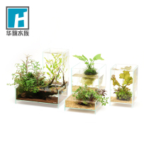 (ADA)DOOA suspension tank Ultra-white glass bottom 3cm water and land landscape small plant office fish tank