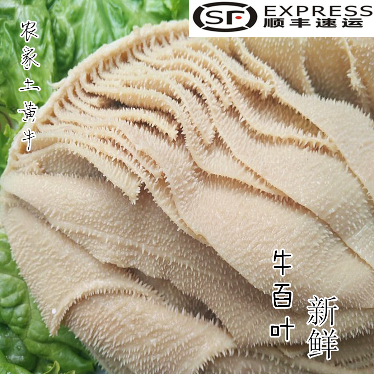 牛百叶牛百叶牛肚新鲜 牛百叶新鲜千层肚火锅 白煮千层肚500g_7折现价