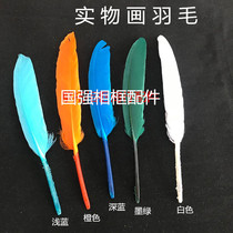 Physical painting photo frame accessories colored feather decoration diy jewelry material handmade goose feather color complete