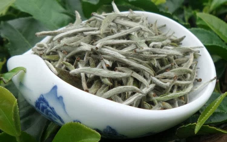 2016 年正宗福建福鼎白茶 特级 高级白毫银针 大白毫 .