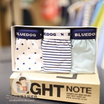 Direct mail BLUEDOG Korea blue dog big boy 2021 new boys briefs 3 510-02