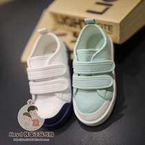 Direct mail BLUEDOG Korea blue dog big boy 2021 spring casual sports shoes 21119-821-01