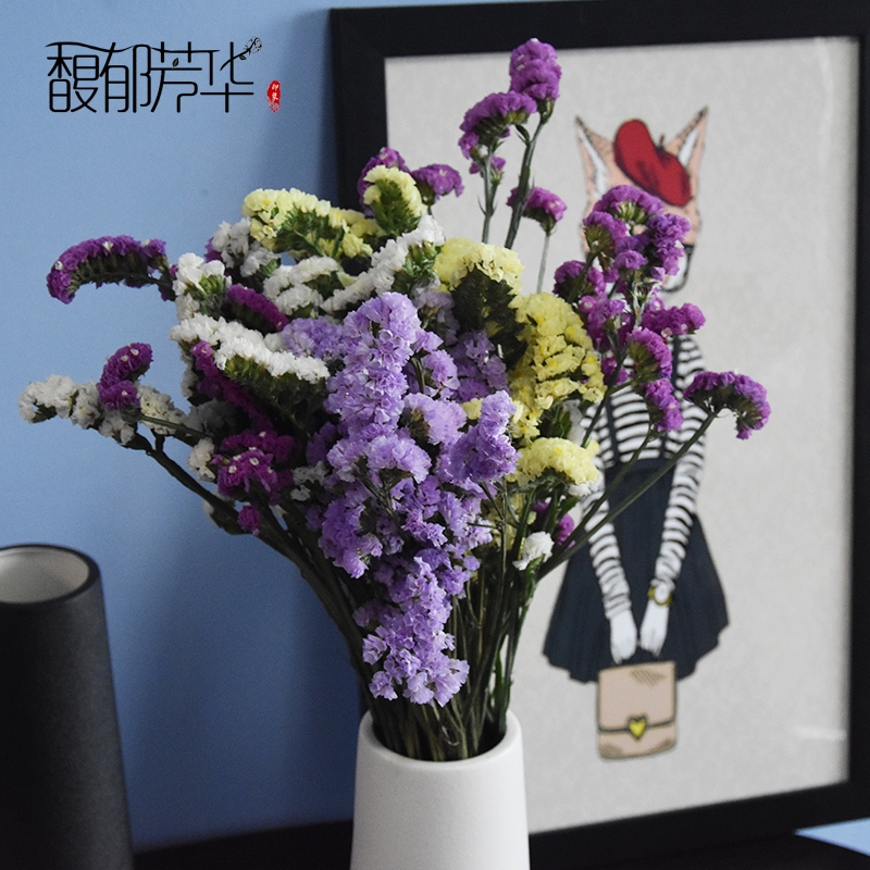 yunnan natural air-dried real flowers forget-me-not dried flower bouquets large dried flowers decorative ornaments home furnishings living room diy