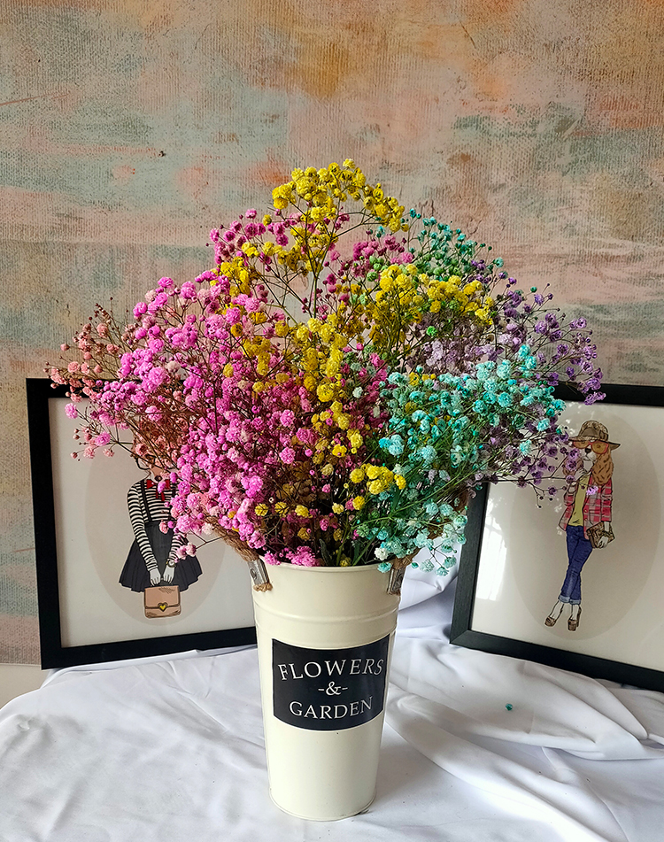 云南天然真花满天星永生花干花花束