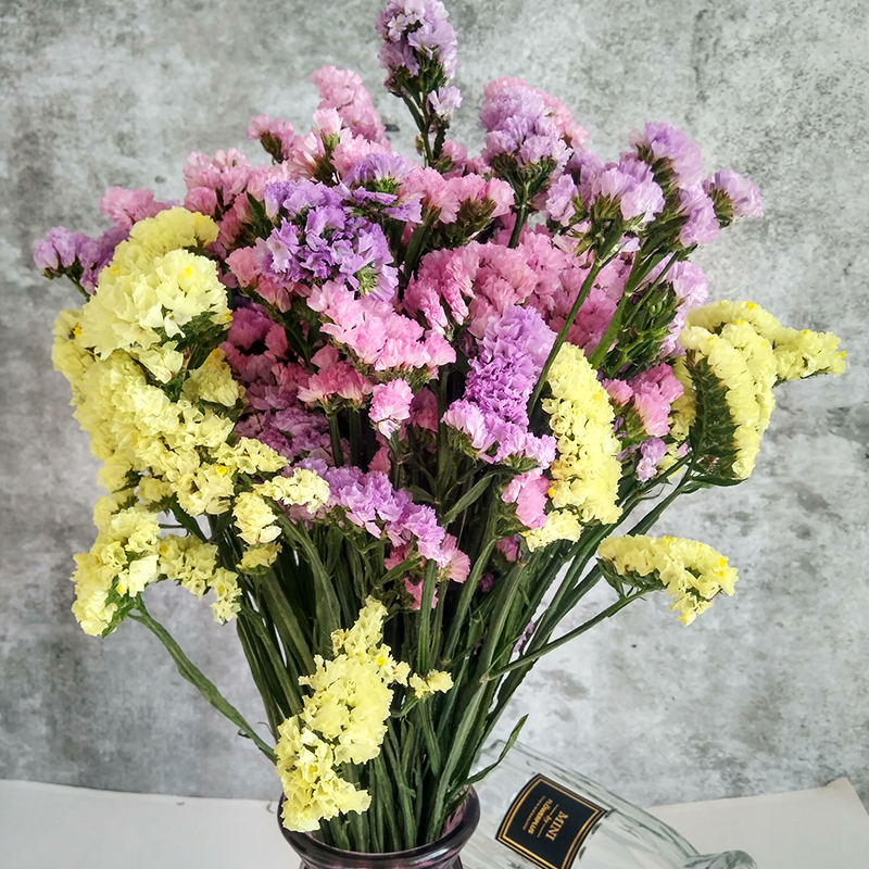 yunnan natural air-dried real flowers forget-me-not dried flower bouquets large dried flowers decorative ornaments home furnishings living room diy