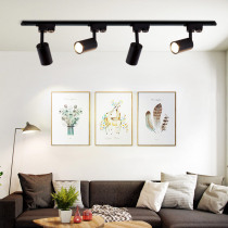 LED light mounted spotlight COB track light clothing shop background wall exhibition hall spotlight guide track light 10w20w30 tile