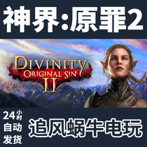 PC Genuine Steam Country Divinity: Original Sin2 Divinity: Original Sin2