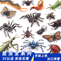 Simulation insect model toy spider bee ant butterfly scorpion scorpion praying mantis insect animal teaching aids for children