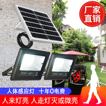Solar outdoor lightsHuman sensor aisle lightsVoice-activated lightsRadar sensor garden lightsOutdoor lightingFloor lights