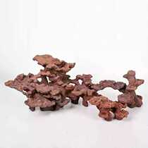 AS sea tank landscaping stone seawater cultivation biological Stone artificial coral reef-free algae rapid opening of 150-200 cylinders