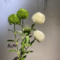 Green Stone Bamboo Green Hairy Ball Orange Blossom Onion Blossom Onion Balls New Year Placed Decorations Plastic Simulation Flowers