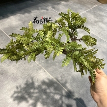 Pine Berry Twigs Pine Branches Special Shaped Trunk Cypress Trees Bend styling branches Zen Branches Zen accessories Decorations Fake