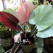 ins Pink blue red turtle-backed leaf anemone leaf Palm tree Sunflower plantain traveler plantain large leaf