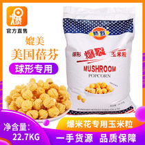 Warm Spherical Popcorn Corn Grain Popcorn Special Corn Spherical Bud Rice Flower Corn Cinema KTV Raw Material