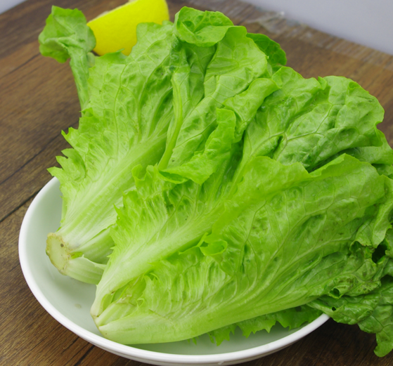 汇鲜蔬果 新鲜蔬菜生菜 意大利生菜 色拉沙拉菜 唐生菜绿色500g